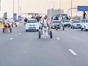 donkey cart race in Bahrain 