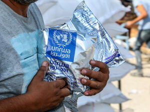Palestine Refugees