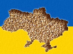 Ukraine to Resume Grain Exports, Safety Remains A Concern: S&P