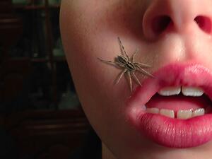  تفسير رؤية عنكبوت يخرج من فمك في المنام