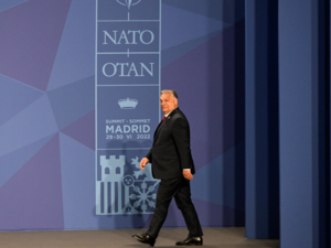 A ‘Pro-Nazi' in the EU and NATO? Hungarian PM Condemned