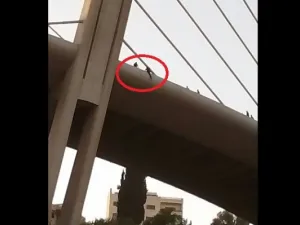  معدلات الانتحار في الأردن في العام الحالي 65 حالة، منها 45 حالة من الذكور و 20 من الإناث
