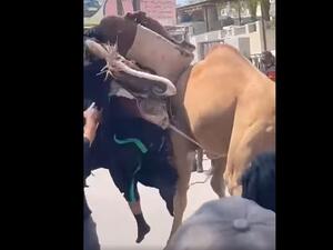 والسيدة عائشة هي  ثالث زوجات الرسول محمد وإحدى أمهات المؤمنين، والتي لم يتزوج امرأة بكرًا غيرها.