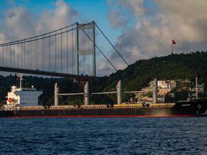 2 more ships carrying over 70,000 tons of grain leave Ukraine