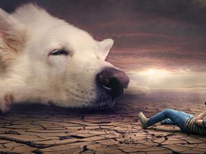 تفسير الحلم بالكلاب في المنام؟