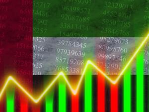 الإمارات: ارتفاع قيمة الأسهم المملوكة للمستثمرات المواطنات إلى 17.5 مليار درهم