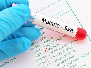 Malaria