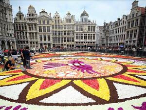 Flower Carpet outside Brussels City Hall 