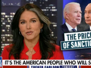 ‘This Is Not About Morality or Ukrainians’: Tulsi Gabbard Slams NATO and the Us