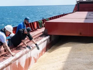 7 سفن أخرى غادرت موانئ أوكرانيا ضمن صفقة حبوب