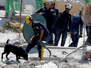 rescue teams