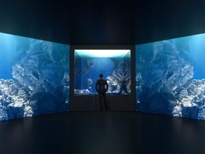 كيا تحتفل بفسلفة التصميم الجديدة "اتحاد الأضداد" خلال معرضٍ استثنائي وفريد من نوعه تستضيفه سيول