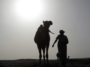 جاء المعرض احتفاءا بالسنة الهجرية الجديدة