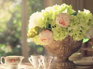 كيفية استخدام الفاونيا في فنغ شوي