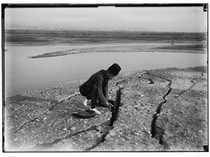 Earthquake in Palestine 