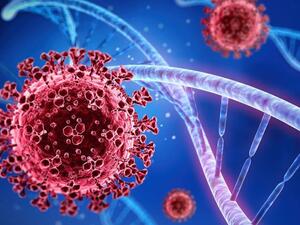 فيروس كورونا