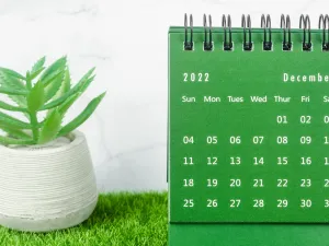 توقعات الأبراج لشهر كانون الأول/ ديسمبر 2022