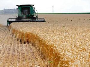 وقف التخطيط لحركة السفن في البحر الأسود من قبل واشنطن وتركيا وأوكرانيا