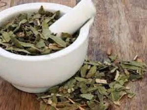 طريقة استخدام سنا مكي لتنظيف البطن