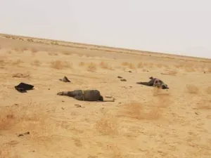 مصدر للبوابة: المغرب قتل موريتانيين بالدورنات
