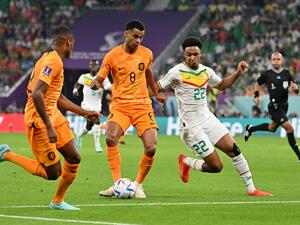 هولندا تحصد أول ثلاث نقاط لها على حساب السنغال في كأس العالم 2022