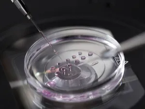 تجميد البويضات: 14 سؤال يهم كل امرأة 