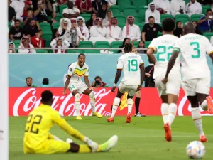 Senegal's forward #19 Famara Diedhiou (C) celebrates scoring his team's second goal with Senegal's defender #14 Ismail Jakobs (2L) during the Qatar 2022 World Cup Group A football match between Qatar and Senegal at the Al-Thumama Stadium in Doha on November 25, 2022. (Photo by KARIM JAAFAR / AFP)