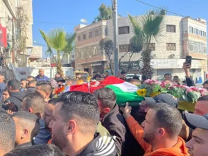جنين