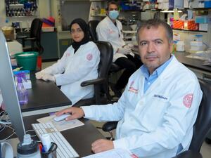 WCM-Q researchers discover mechanisms driving inflammation in obesity, cancer and type 2 diabetes