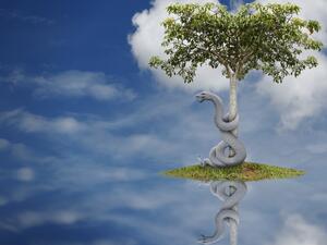 تفسير حلم سقوط الثعابين من السماء