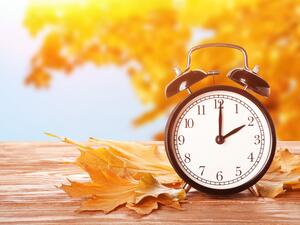 Words for a bad year 