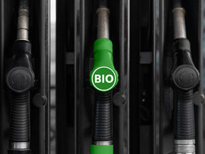 Oman date kernel biofuel