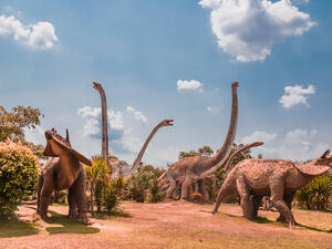 dinosaurs 