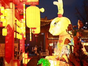 Year of the Rabbit