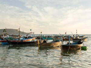 قوارب باكستان