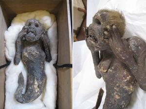 الحورية المحنطة