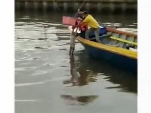 تمساح يوصل جثة طفل الى عائلته