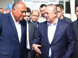 اوغلو مستقبلا شكري في مطار اضنة