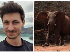 اسرائيل: الفيل شن هجوم وحشي على المواطن الاسرائيلي