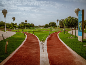 Try-a-Tri at Qatar Foundation’s Sport Day Activities