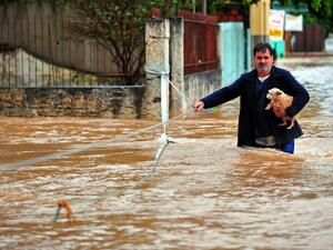 رجل ينقذ كلبًا في الفيضان بالبرازيل