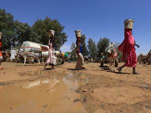  الإصلاح الأمني والعسكري الذي يقود إلى جيش مهني وقومي واحد