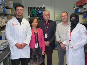WCM-Q and international experts review whether metformin is a drug for all diseases
