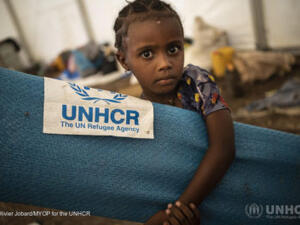 Vardot Partners with UNHCR, the UN Refugee Agency to Elevate Their Digital Presence