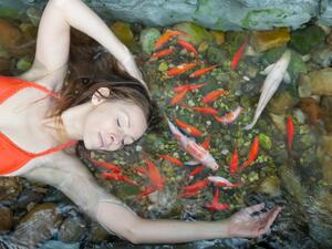 تفسير حلم السمك حسب الثقافة الصينية