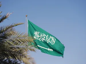 علم السعودية أمام شجرة النخيل