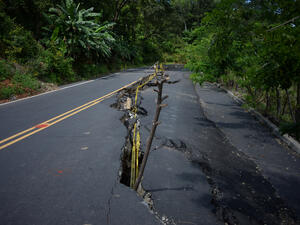 7.1 magnitude earthquake hits New Zealand 