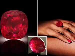 طرح أكبر حجر روبي في العالم 