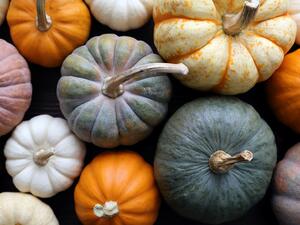 10 تفسيرات لرؤية اليقطين في المنام