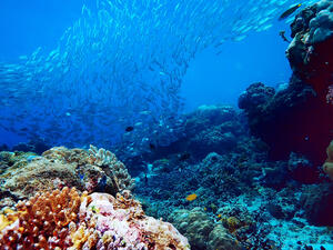 Ocean hole